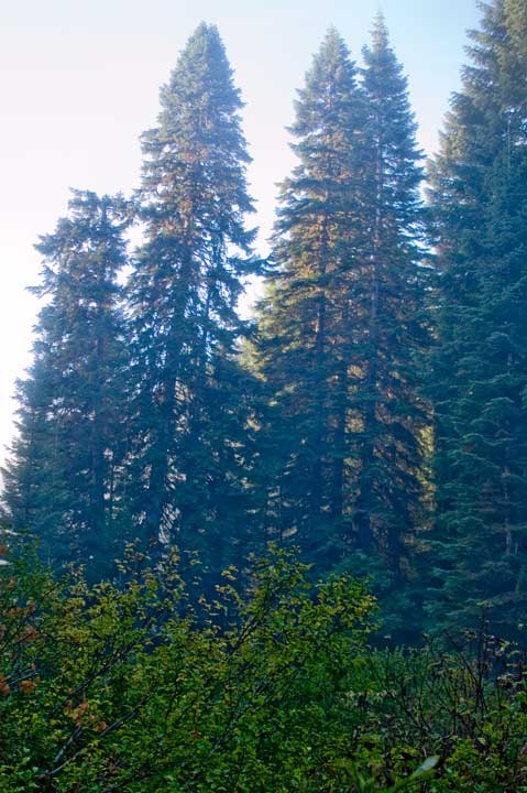 DSC_0867