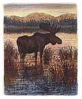 A bull moose, in a mountain lake, at sunset. 
A typical setting for this grand animal. The background for the scene is a lake in the Anaconda Pintlar Wilderness of western Montana. 