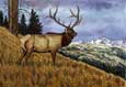 Hand-colored Original Etching of a majestic bull elk in his wilderness domain.