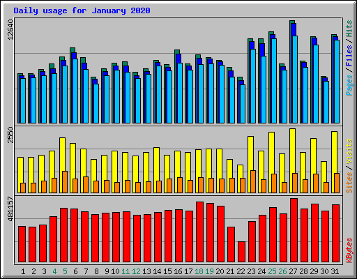 Daily usage for January 2020