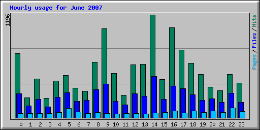 Hourly usage for June 2007