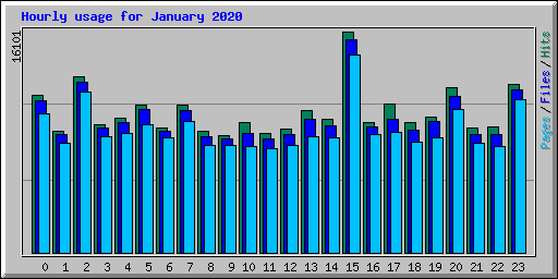 Hourly usage for January 2020