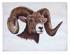 A detailed portrayal of a magnificent bighorn ram.